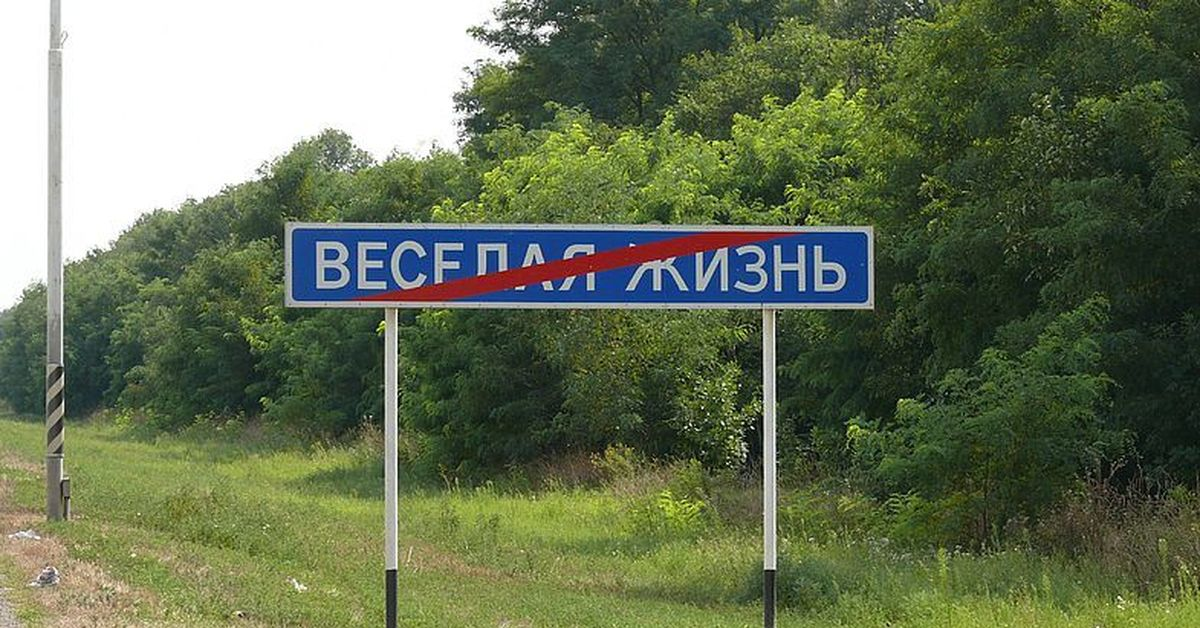 — Веселая жизнь